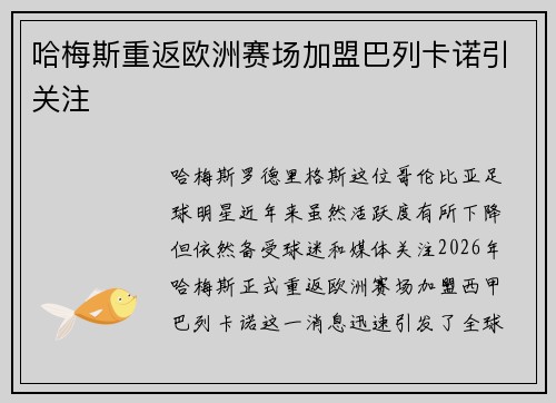 哈梅斯重返欧洲赛场加盟巴列卡诺引关注